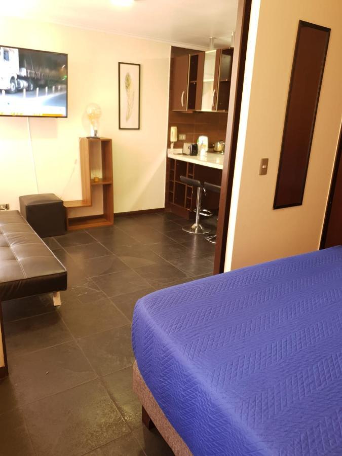 Departamento con Terraza R&M Apartment Santiago Luaran gambar