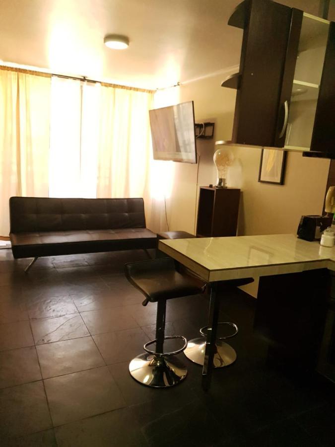 Departamento con Terraza R&M Apartment Santiago Luaran gambar
